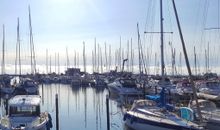 Nurdachhaus im Dampland an der Ostsee