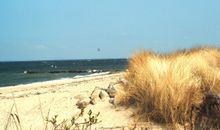 Ostsee Ferienhof -FeWo Kornblume