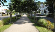 Dünenwald - Baabe