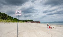 FeWo Loft Sturmmöwe in PRORA - 4.12