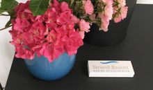Ostsee - Appartement "Pier 77" im Strand Resort