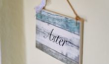 Aster