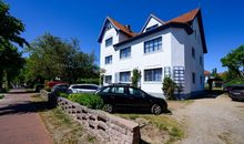 Strandnelke