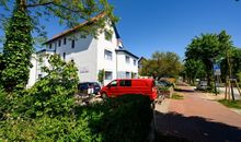 Strandnelke