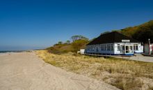 Strandnelke