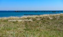 Strandnelke