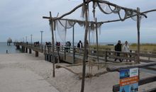 Fewo Zwergseeschwalbe - Ostsee at its best!