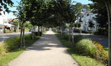 Ferienhaus Falky - Baabe