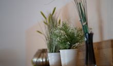 Chalet Ostsee A