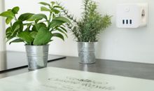 Haus Seeblick Paul