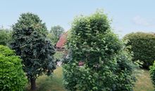 Ahornweg 12 Urlaubsglück