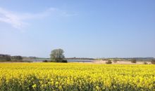 Zeesenhaus 5 im Ferienpark Seedorf mit Seeblick