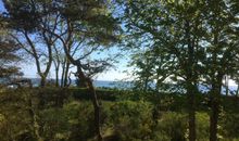 Blaue Brise - Arkonablick