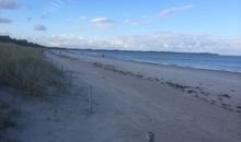 Blaue Brise - Arkonablick
