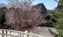 W6  - Gästehaus Christian-Westphal-Str. 60 - FERIENDOMIZIL HOLLICH