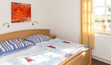 Backhaus