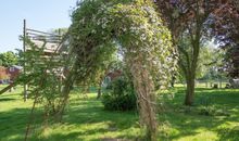 Backhaus