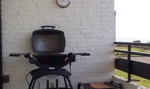Singlefewo Seemöwe für 1 Person