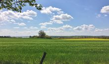 Der Blick zum Naturschutzgebiet Schwansener See