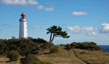 Ferienhaus in Plogshagen auf Hiddensee