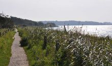 Idyllische Pfade an der Ostsee