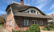 Ferienhaus Rügen - Das Reet