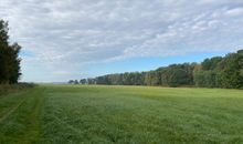 hinter dem Ferienhaus Strandhafer gelegen - die Rehwiesen von Karlshagen