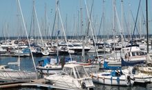 Schaukelnde Segelboote im Yachthafen