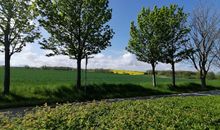 Ferienwohnungen Kleckerburg mit Meerblick OFC 05