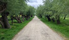 Impressionen der Insel