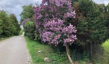 Impressionen der Insel