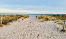 Strandabgang/Hundestrand Lobbe