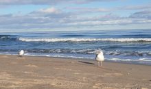 Wellengang im Januar am Strand von Lobbe