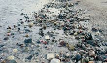 Naturstrand in Lobbe im Februar