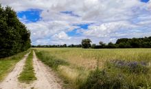 Lerchenhof Reestow- Spazierweg ins Feld direkt vom Hof aus