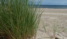 Brandung an der Ostsee
