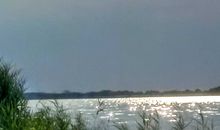 Ruhige Badestellen am Achterwasser