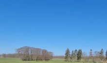 Wiesenblick