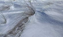 Winter am Meer