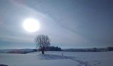 Winterwiesen