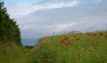 Natur