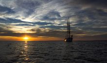 Luxus Reethaus am Meer bis 8 Personen Sauna Wlan Kamin Wasch