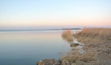 Saaler Bodden