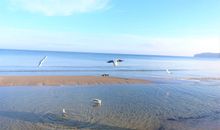 Strandleben