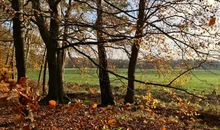 Einfach Herbst