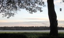Nebel über unserer Wiese
