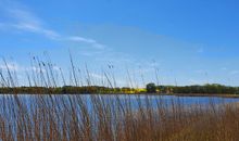 Selliner See