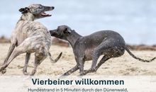 Vierbeiner willkommen, Hundestrand in 5 Minuten durch den Dünenwald,  unbegrenzte Auslaufmöglichkeiten in den Wäldern