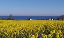 Binz - Feriendomizil zum Strandkorb / ASM