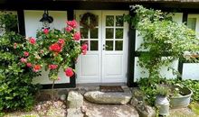 Mönchguter Ferienhaus unterm Reetdach mit Kamin